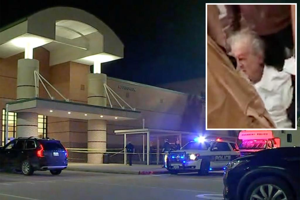 Elderly gunman tackled by parent after opening fire on Texas high school band competition