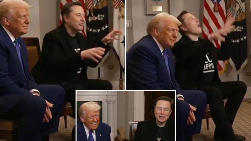 Elon Musk compares ‘Trump Derangement Syndrome’ to rabies in sit-down with president