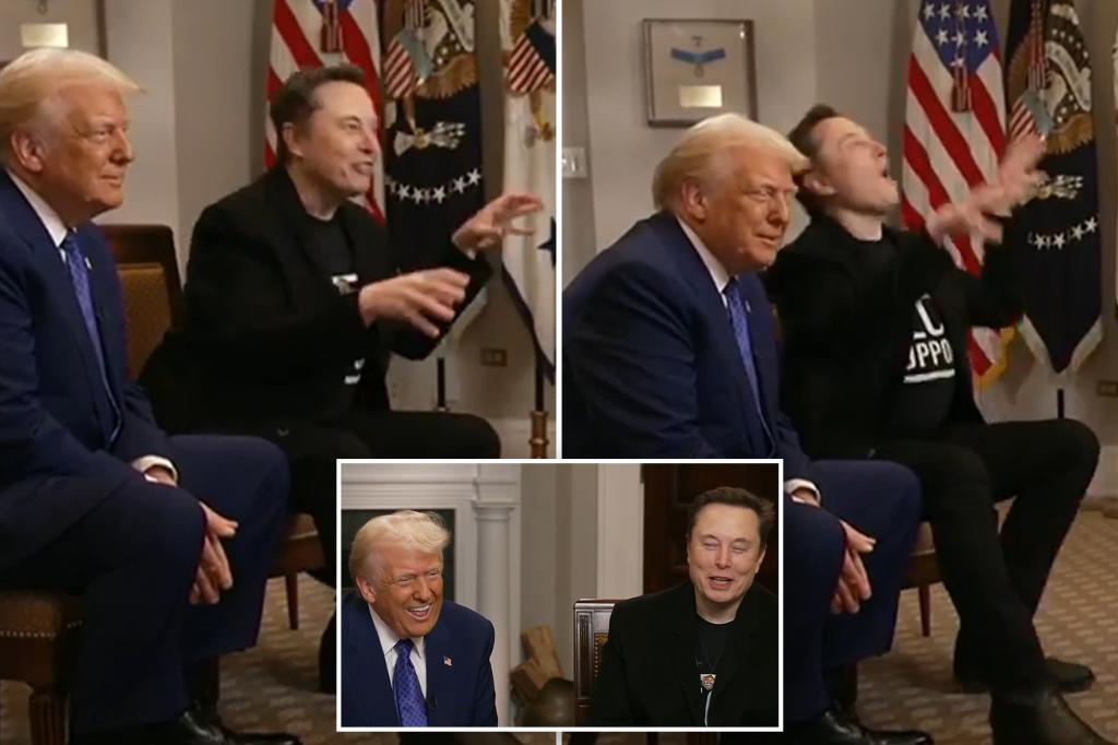 Elon Musk compares ‘Trump Derangement Syndrome’ to rabies in sit-down with president