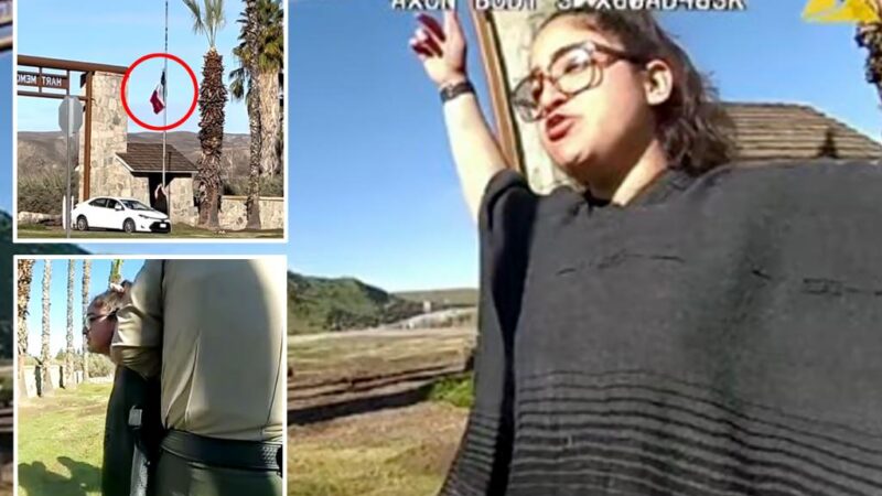 Female activist arrested for tearing down US flag and replacing with Mexico’s at California park