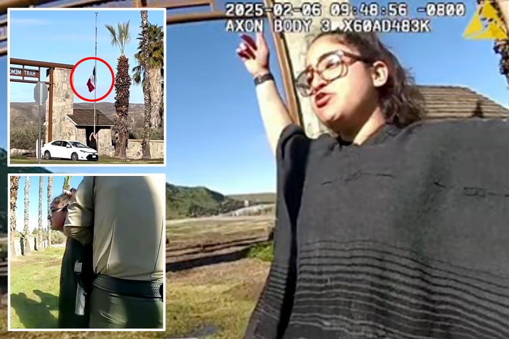 Female activist arrested for tearing down US flag and replacing with Mexico’s at California park