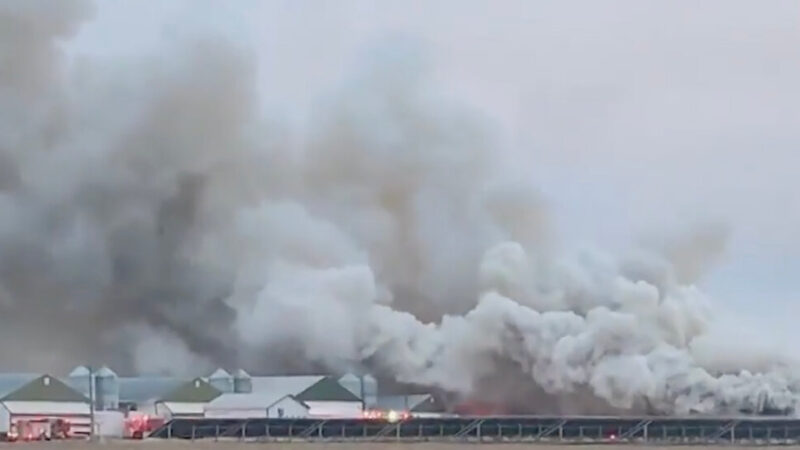 Fire Destroys Ohio Farm Building Holding Thousands of Chickens