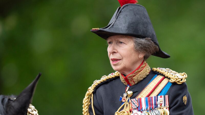 Princess Anne admits she remembers ‘nothing’ about her horse accident