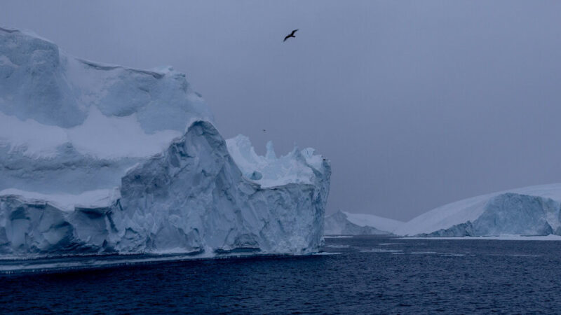 Greenland’s Big Moment – The New York Times