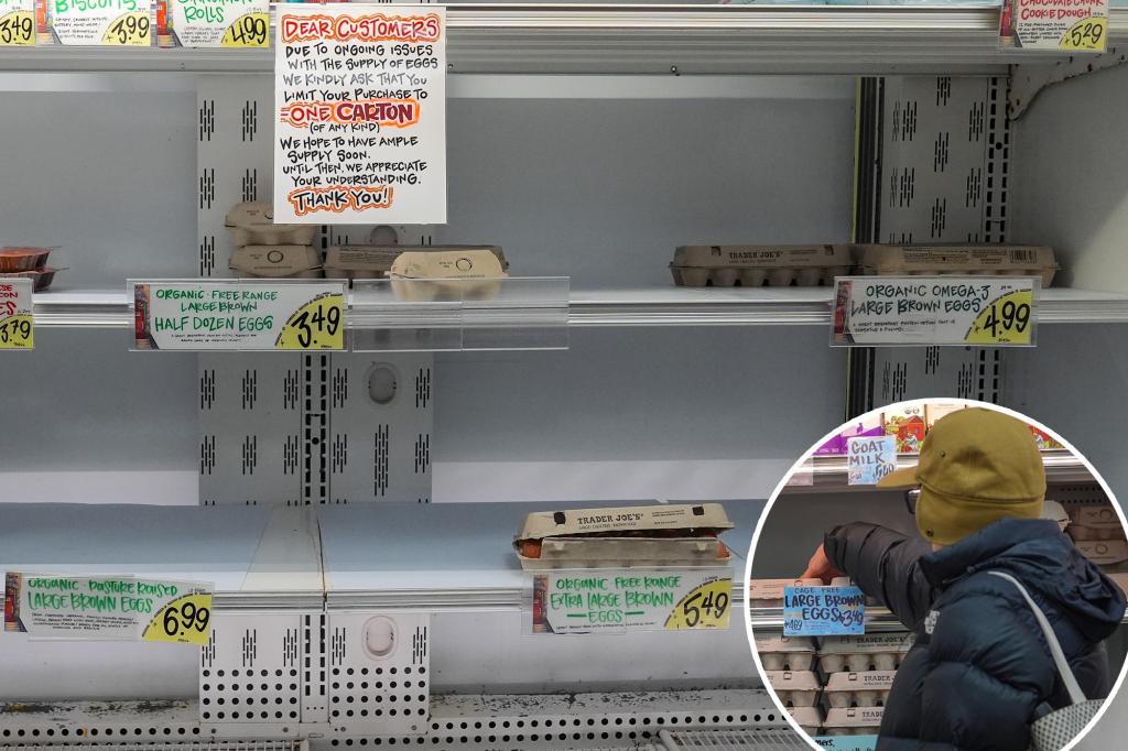 How Trader Joe’s eggs are still so cheap