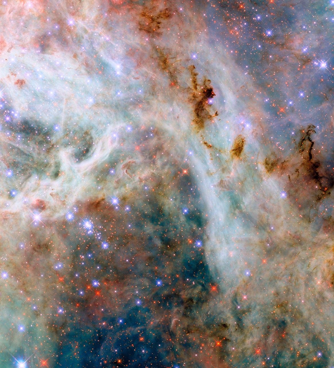 Hubble Captures a Cosmic Cloudscape