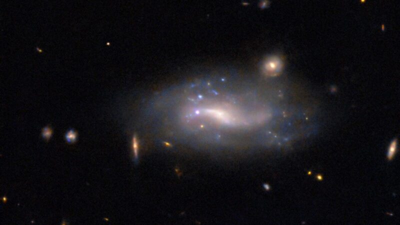 Hubble Goes Supernova Hunting – NASA Science