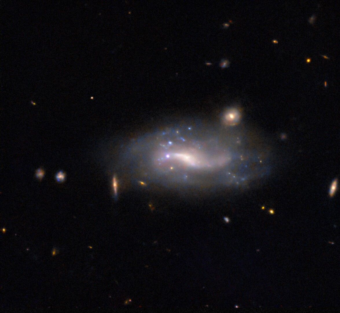 Hubble Goes Supernova Hunting – NASA Science