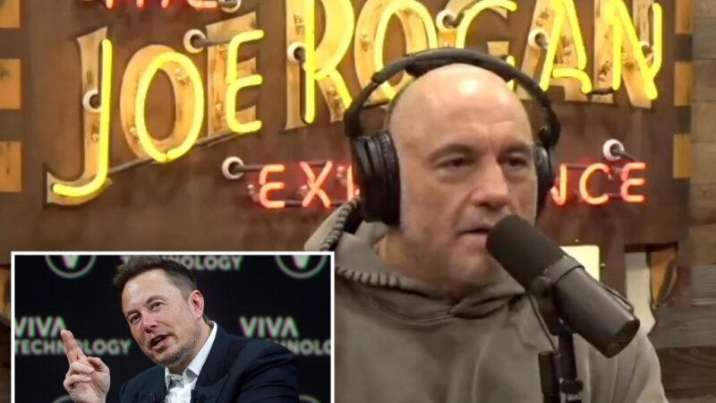 Joe Rogan defends ‘super genius’ Elon Musk and his DOGE crackdown: ‘Good for everybody’