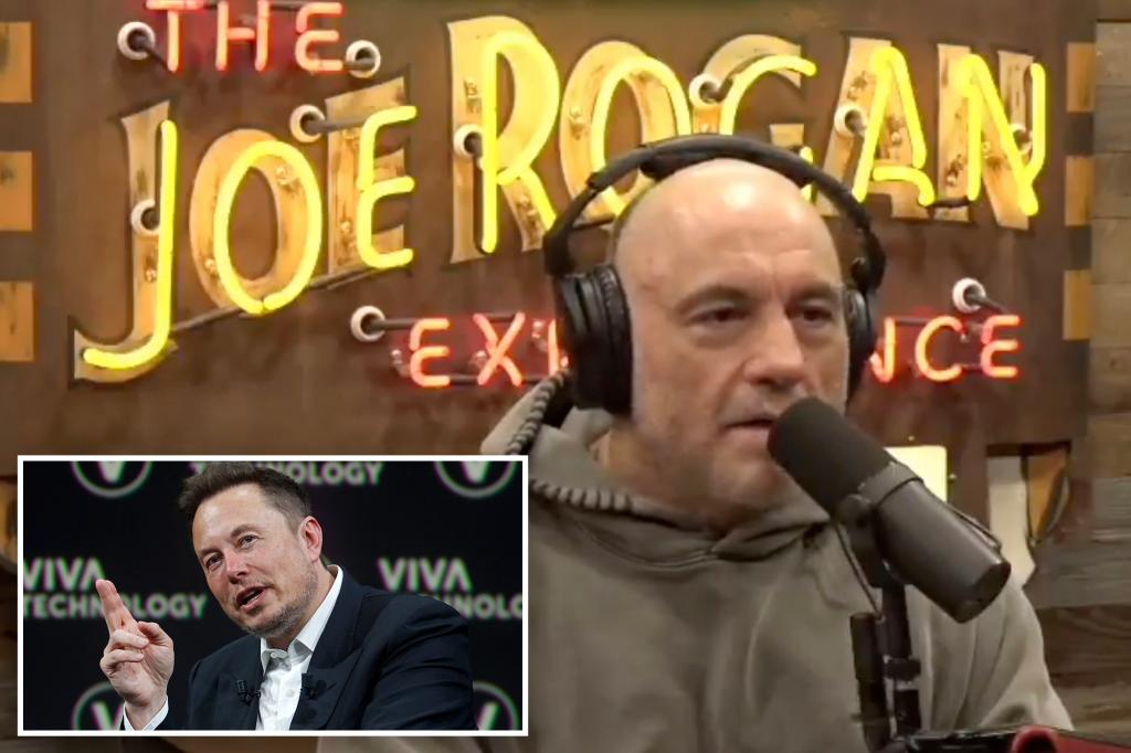 Joe Rogan defends ‘super genius’ Elon Musk and his DOGE crackdown: ‘Good for everybody’