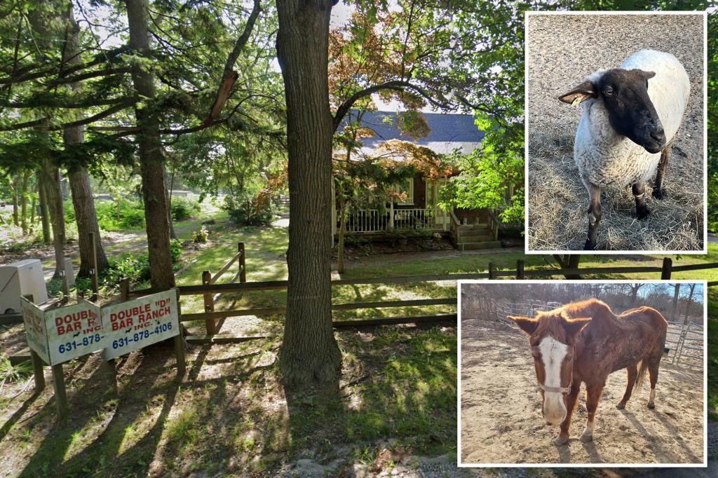 Long Island animal sanctuary slapped with 112 counts of neglect