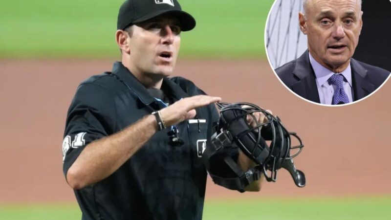 MLB umpire Pat Hoberg fired after betting probe