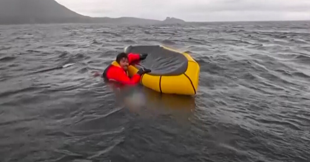 Man Is Briefly ‘Swallowed’ by Whale in Chile