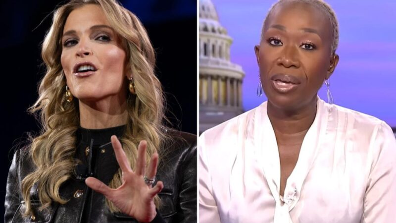 Megyn Kelly on MSNBC firing Joy Reid: ‘Who’s crying now?’