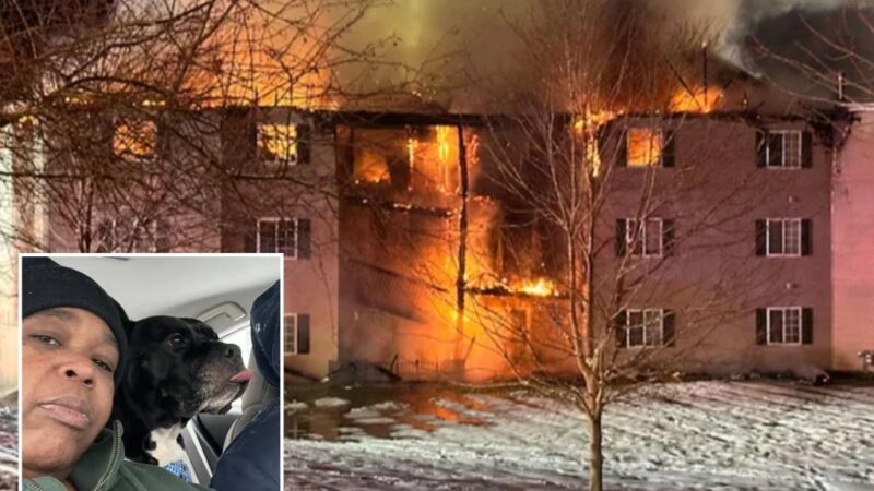 NY dog Rocco hailed hero for alerting owner of fire in Baldwinsville apartment fire