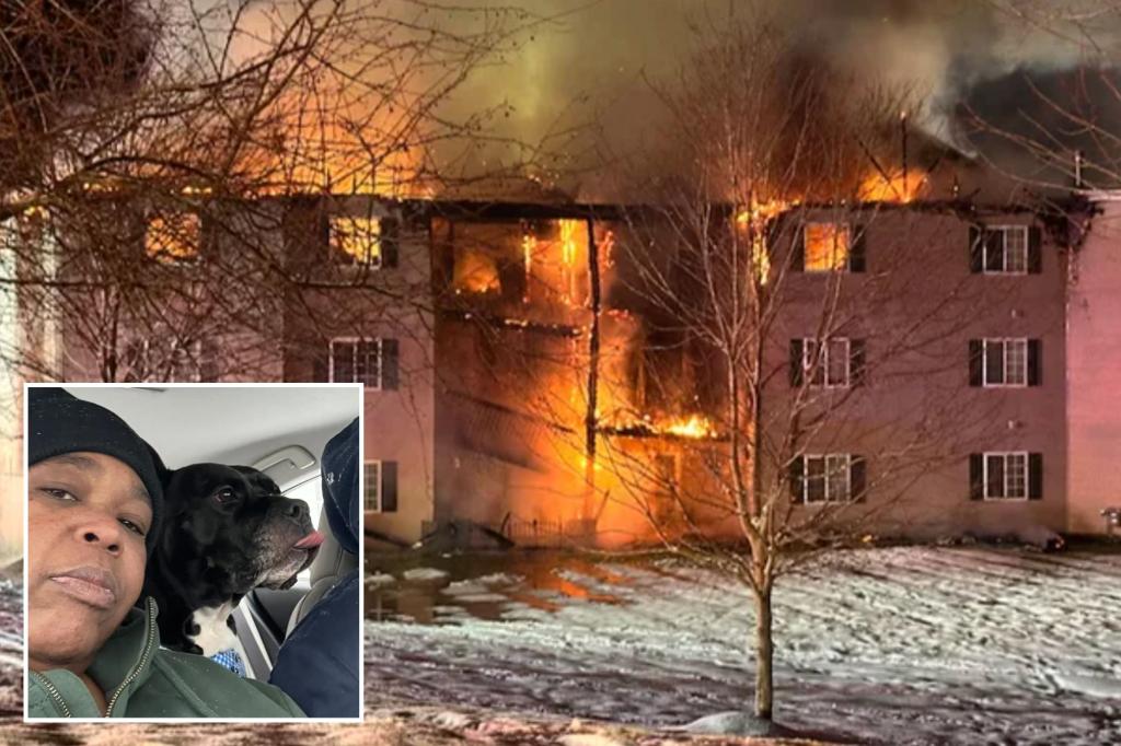 NY dog Rocco hailed hero for alerting owner of fire in Baldwinsville apartment fire