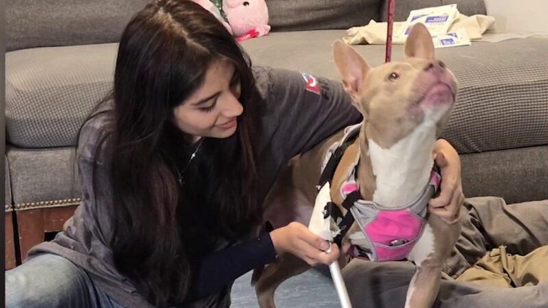 NY shelter dog gets new lease on life with teen’s 3D printed prosthetic leg