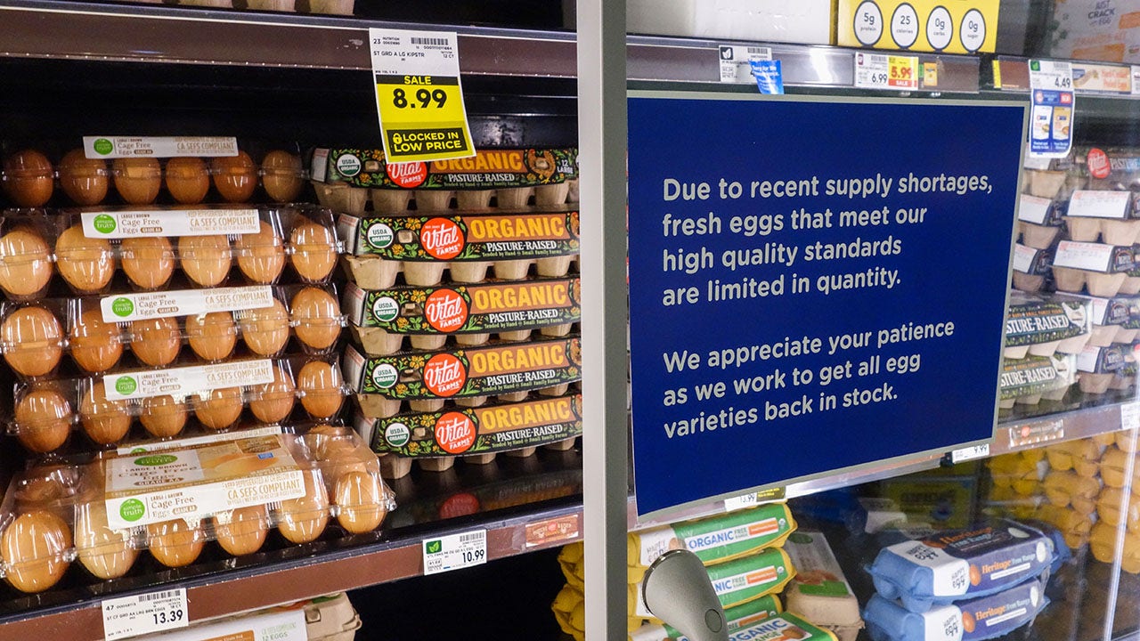 NYC grocery stores selling organic eggs for cheaper than regular dozen