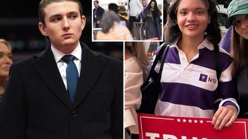 NYU GOP president resigns over Barron Trump comments