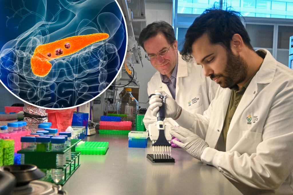 New pancreatic cancer blood test could improve treatment