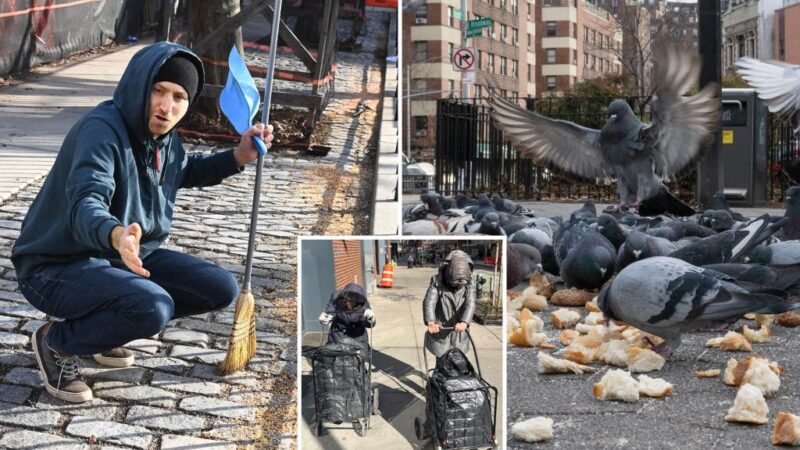 Pigeon feeders turn NYC’s Ahearn Park park into rat-infested feeding frenzy