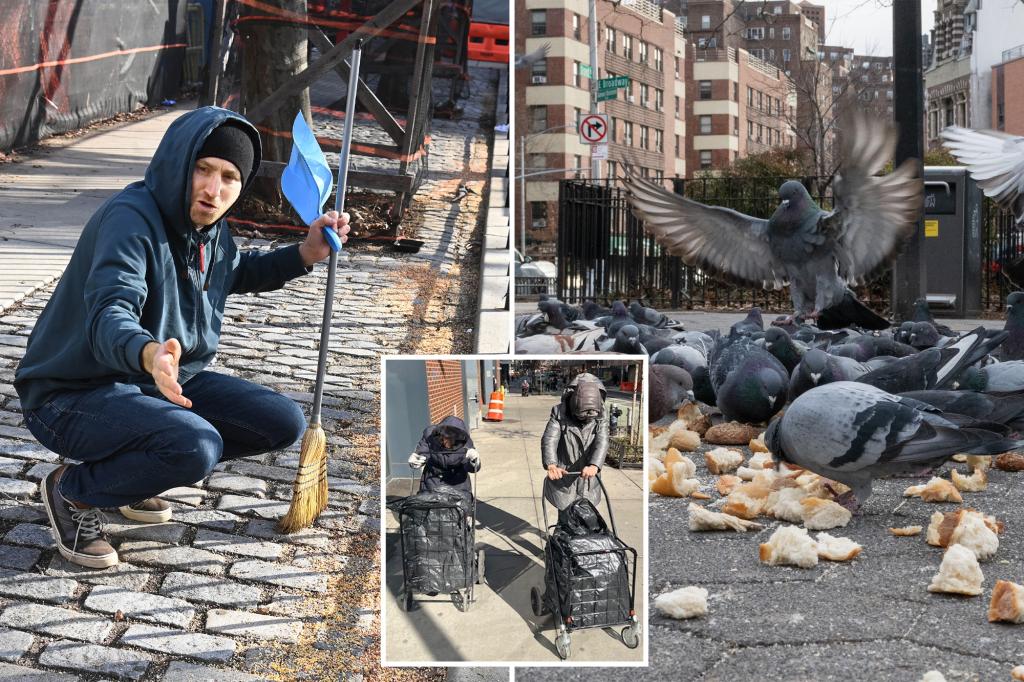 Pigeon feeders turn NYC’s Ahearn Park park into rat-infested feeding frenzy