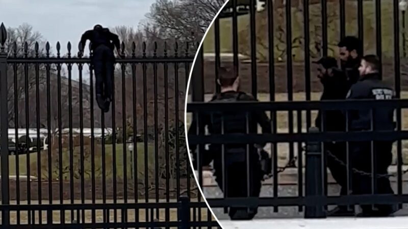 Secret Service swarm man stuck climbing security fence outside White House (Video)