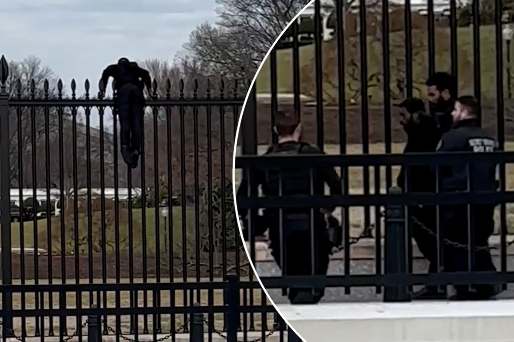 Secret Service swarm man stuck climbing security fence outside White House (Video)