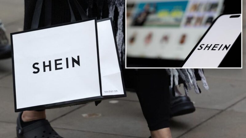 Shein’s annual profit down by more than a third, FT reports