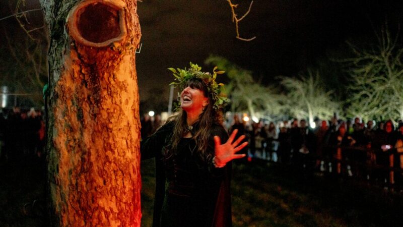 Singing to Trees to Make Good Cider: An Ancient English Ritual Is Back