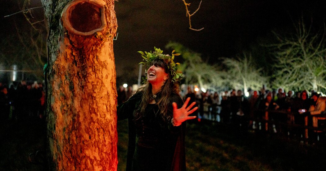 Singing to Trees to Make Good Cider: An Ancient English Ritual Is Back