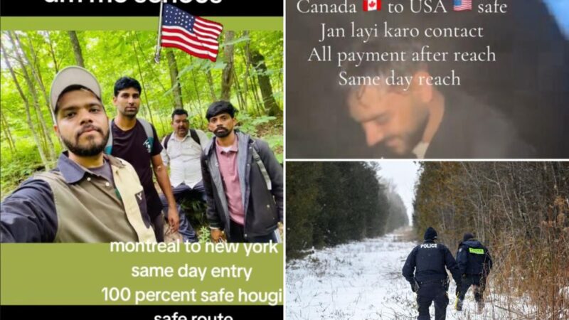 Smugglers advertising illegal Canada-US border crossings on TikTok