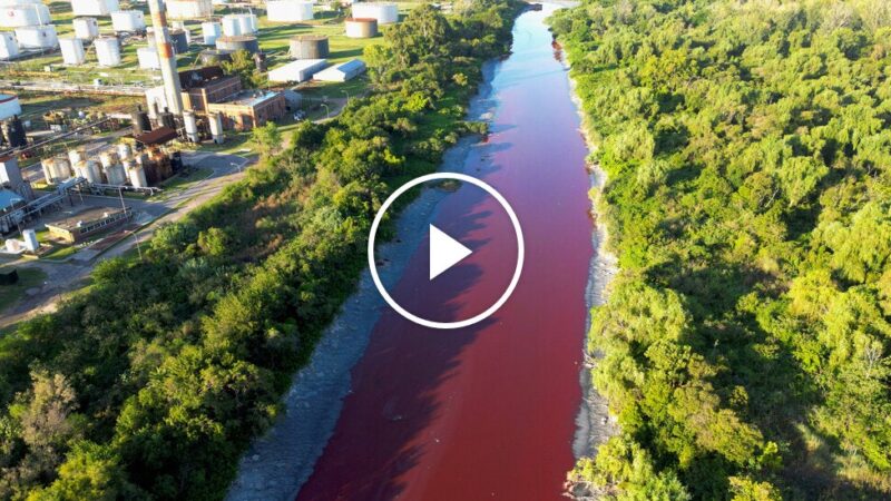 Stream Near Argentina’s Capital Turns Red