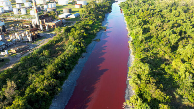 Stream Near Buenos Aires Turns Red, ‘Like a River Covered in Blood’