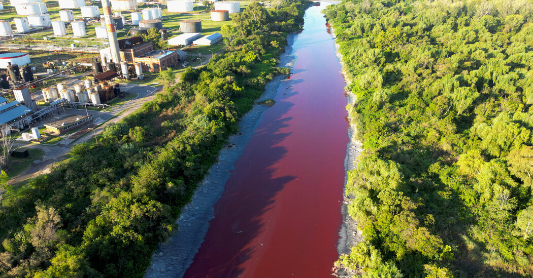 Stream Near Buenos Aires Turns Red, ‘Like a River Covered in Blood’