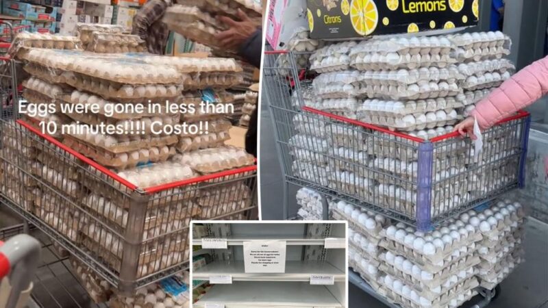 Trader Joe’s, Costco place purchase limit on eggs amid hoarding