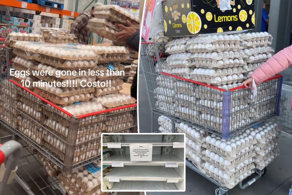 Trader Joe’s, Costco place purchase limit on eggs amid hoarding