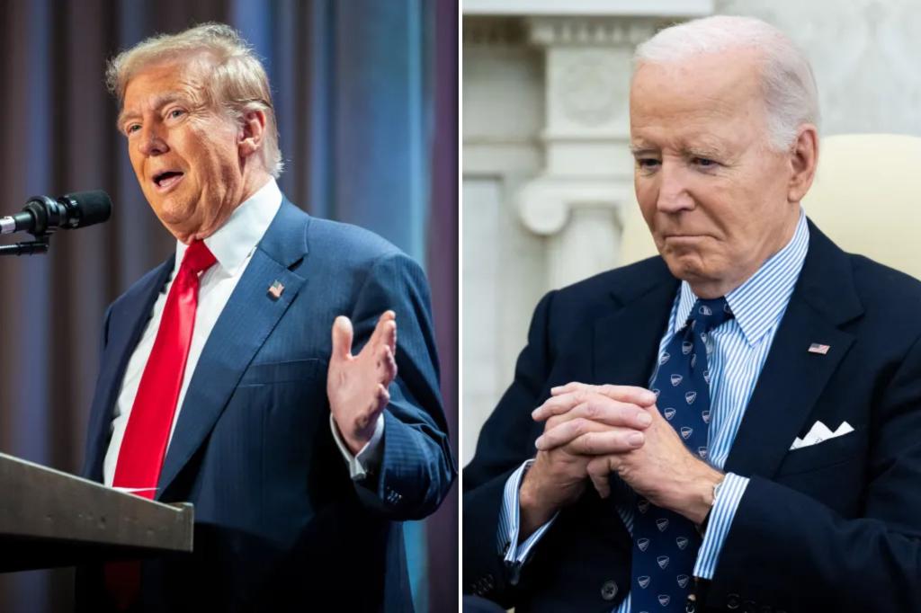 Trump is ‘immediately revoking’ Biden’s security clearance and access to daily intelligence briefings: ‘He set this precedent’