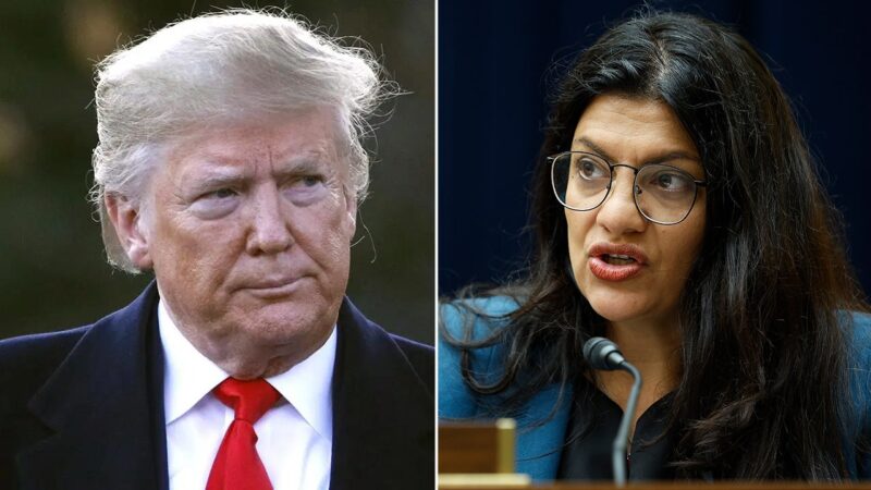 Michigan Democrat Rashida Tlaib lashes out at Trump over Gaza proposal