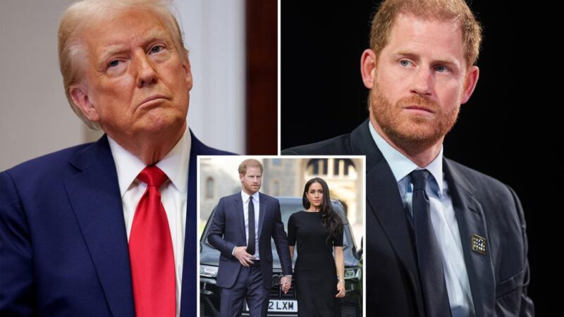 Trump rules out deporting Prince Harry