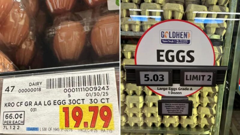 US’ biggest egg producer is raking in profits as supermarket prices surge: farm advocacy group