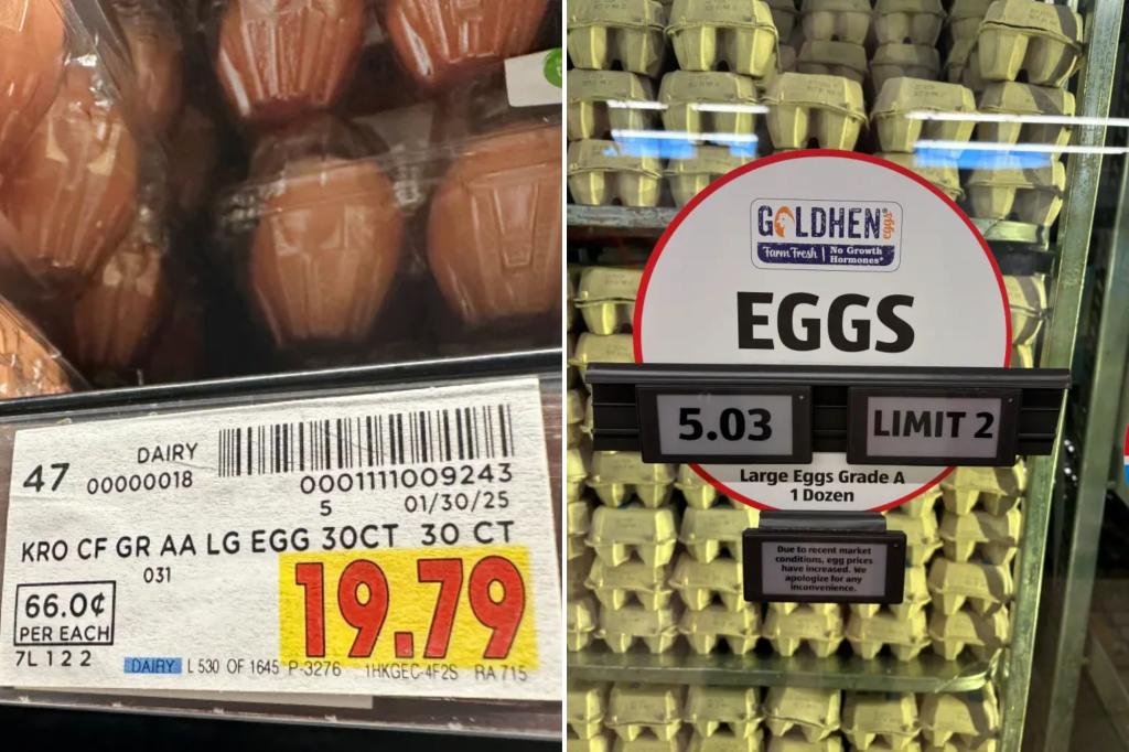 US’ biggest egg producer is raking in profits as supermarket prices surge: farm advocacy group