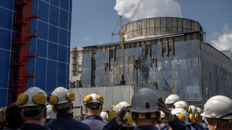 Ukrainian Lawmakers Approve Contentious Purchase of Nuclear Reactors