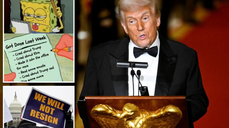 Trump posts SpongeBob meme to poke fun at outrage over Elon Musk’s email asking federal workers what they did last week