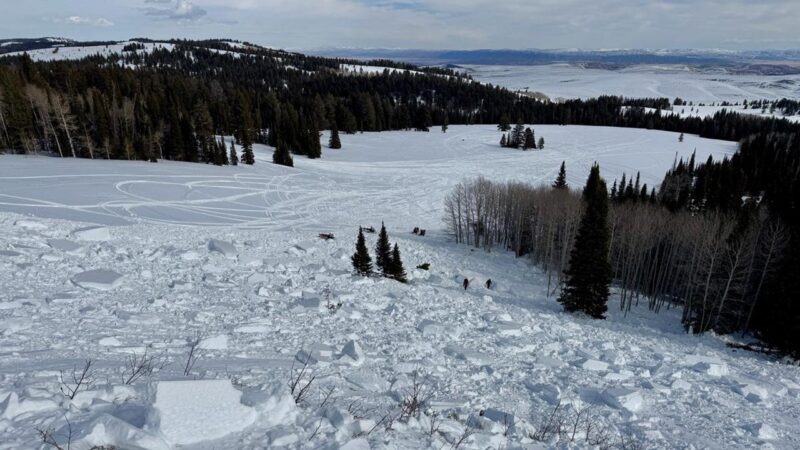 Utah snowmobiler killed in avalanche