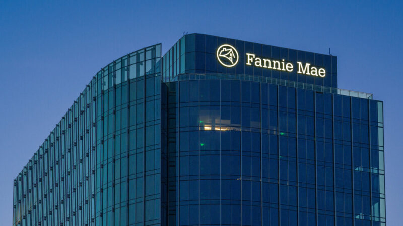 What Privatization of Fannie Mae and Freddie Mac Means