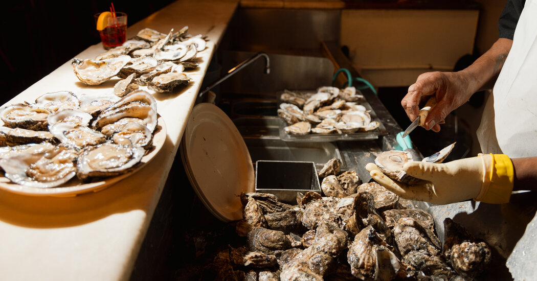 Where to Find the Best Oysters in New Orleans