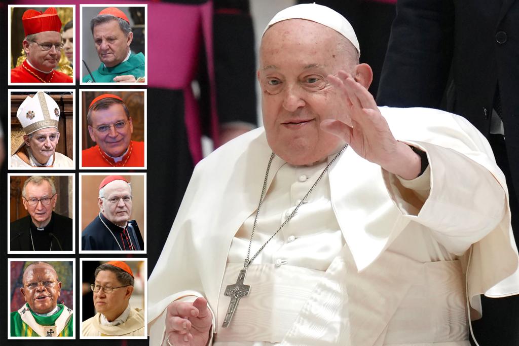 Who are the frontrunners to be elected next pontiff after Pope Francis?