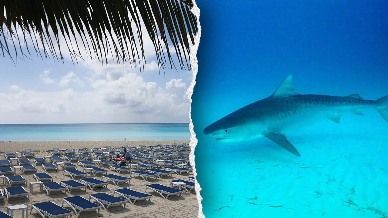 Woman loses both hands in shark attack in Turks and Caicos after photo fail