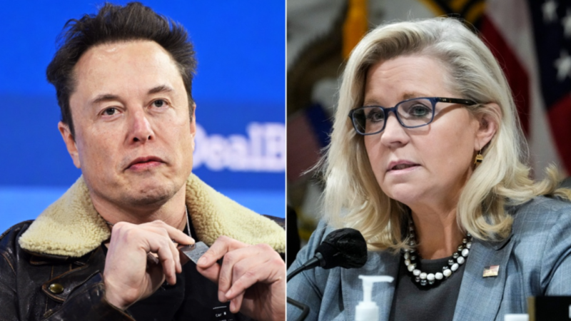 ‘Damn right’: Liz Cheney’s past USAID employment faces backlash after lashing out at Elon Musk